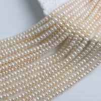 Přírodní sladkovodní perly perlí, Sladkovodní Pearl, Flat Round, DIY, bílý, 5-6mm, Prodáno za Cca 36-38 cm Strand