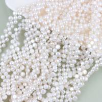 Přírodní sladkovodní perly perlí, Sladkovodní Pearl, Flat Round, DIY, bílý, 5-8mm, Prodáno za Cca 40 cm Strand