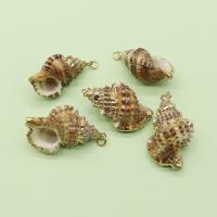 Shell Pendants with Brass Conch gold color plated DIY mixed colors 23x37- Sold By PC