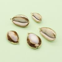 Shell Pendants with Brass Conch gold color plated DIY mixed colors 15x25- Sold By PC