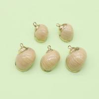 Shell Pendants with Brass Conch gold color plated DIY mixed colors 12x20- Sold By PC