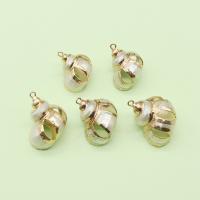 Shell Pendants with Brass Conch gold color plated DIY & hollow mixed colors 21x23- Sold By PC
