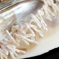 Barocco coltivate in acqua dolce Perla, perla d'acquadolce coltivata naturalmente, DIY, bianco, 20-35mm, Venduto per Appross. 40 cm filo