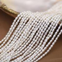 Cultured Rice Freshwater Pearl Beads DIY white 2.5-3mm Sold Per Approx 37-39 cm Strand