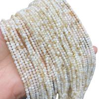 Prirodni Slatkovodni Shell perle, Trg, uglađen, možete DIY, 3mm, Približno 107računala/Strand, Prodano By Strand