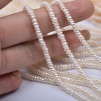 Přírodní sladkovodní perly perlí, Sladkovodní Pearl, Flat Round, DIY & různé velikosti pro výběr, bílý, Prodáno za Cca 37 cm Strand