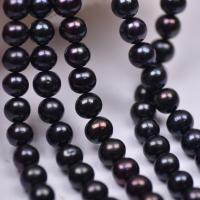 Přírodní sladkovodní perly perlí, Sladkovodní Pearl, Mírně kulaté, DIY, černý, 9-10mm, Prodáno za Cca 37-38 cm Strand