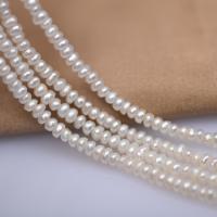 Přírodní sladkovodní perly perlí, Sladkovodní Pearl, Flat Round, DIY, bílý, 2.5-3.5mm, Prodáno za Cca 39-40 cm Strand