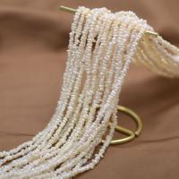 Přírodní sladkovodní perly perlí, Sladkovodní Pearl, Flat Round, DIY, bílý, 3mm, Prodáno za Cca 36-38 cm Strand