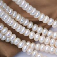 Přírodní sladkovodní perly perlí, Sladkovodní Pearl, Flat Round, DIY, bílý, 10-11mm, Prodáno za Cca 39-40 cm Strand