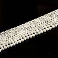 Turquoise Beads Magnesite Round DIY white Sold Per Approx 200 mm Strand