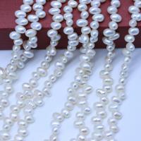 Perlas Arroz Freshwater, Perlas cultivadas de agua dulce, Bricolaje & Top perforado, Blanco, 4-5mm, Vendido para aproximado 36-38 cm Sarta