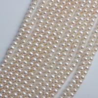 Přírodní sladkovodní perly perlí, Sladkovodní Pearl, Mírně kulaté, DIY, bílý, 5-5.5mm, Prodáno za Cca 39-41 cm Strand