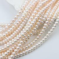 Přírodní sladkovodní perly perlí, Sladkovodní Pearl, Flat Round, DIY, bílý, 8-9mm, Prodáno za Cca 37-39 cm Strand