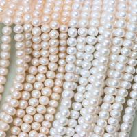 Přírodní sladkovodní perly perlí, Sladkovodní Pearl, Flat Round, DIY, více barev na výběr, 10-11mm, Prodáno za Cca 37-40 cm Strand