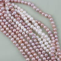 Přírodní sladkovodní perly perlí, Sladkovodní Pearl, Mírně kulaté, DIY, více barev na výběr, 7-8mm, Prodáno za Cca 37 cm Strand