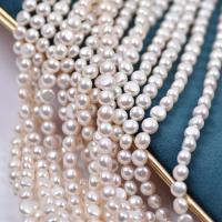 Přírodní sladkovodní perly perlí, Sladkovodní Pearl, Flat Round, DIY, bílý, 6-7mm, Prodáno za Cca 40 cm Strand
