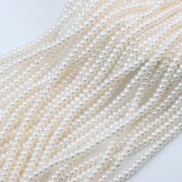 Přírodní sladkovodní perly perlí, Sladkovodní Pearl, Flat Round, DIY, bílý, 4mm, Prodáno za Cca 37-39 cm Strand