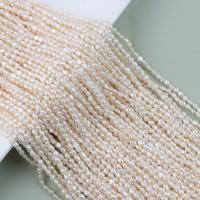 Keishi ferskvandskulturperle Beads, Ferskvandsperle, du kan DIY, hvid, 2-3mm, Solgt Per Ca. 35-36 cm Strand