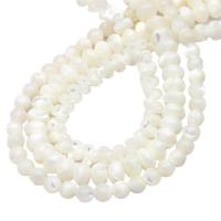 Naturlig Freshwater Shell Perler, du kan DIY & forskellig størrelse for valg & forskellige stilarter for valg, hvid, Hole:Ca. 0.6mm, Solgt af Bag