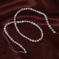 Přírodní sladkovodní perly perlí, Sladkovodní Pearl, DIY, bílý, 5mm, Prodáno za Cca 41 cm Strand