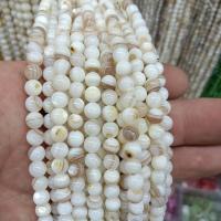 Natural Freshwater Shell Beads Round DIY Sold By Strand