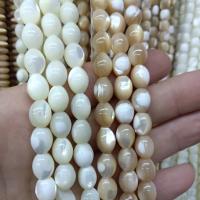 Koraliki z naturalnej słodkowodnej perły, Muszla, DIY, dostępnych więcej kolorów, 7.50x11mm, około 39komputery/Strand, sprzedane przez Strand