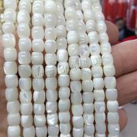 Natürliche Süßwasser Muschel Perlen, DIY & verschiedene Größen vorhanden, keine, verkauft von Strang