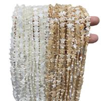 Natural Freshwater Shell Beads Trochus Star polished DIY Sold By Strand