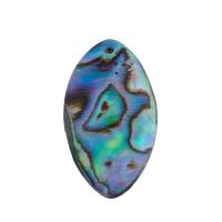 Φυσικό Abalone Shell Μενταγιόν, κοσμήματα μόδας & για τη γυναίκα, 29x15x1mm, Τρύπα:Περίπου 1mm, Sold Με PC