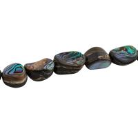 Χάντρες Shell Abalone, Abalone Shell, DIY, 14x10mm, Sold Per Περίπου 15.51 inch Strand