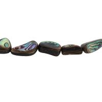 Perles coquillage d'ormeau, coquille d'ormeau, DIY, 10x9mm, Vendu par Environ 15.16 pouce brin