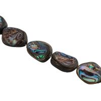 Χάντρες Shell Abalone, Abalone Shell, DIY, 20x10mm, Sold Per Περίπου 15.43 inch Strand