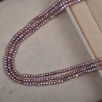 Spacer Koraliki Biżuteria, Perła naturalna słodkowodna, DIY, fioletowy, 3mm, sprzedawane na około 40 cm Strand