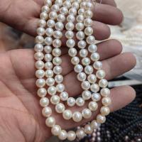 Cultured Round Freshwater Pearl Beads DIY white 8-8.5mm Sold Per Approx 36 cm Strand