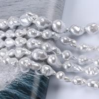 Přírodní sladkovodní perly perlí, Sladkovodní Pearl, DIY, bílý, 11-13mm, Prodáno za Cca 36 cm Strand