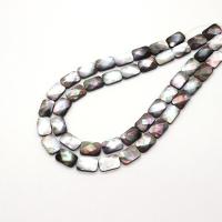 Perles de coquillage noire, coquille noire, DIY, noire, 13x18mm, Vendu par Environ 38 cm brin