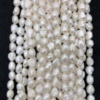 Perle perline Keishi coltivate d'acqua dolce, perla d'acquadolce coltivata naturalmente, DIY, bianco, 10-11mm, Appross. 31PC/filo, Venduto da filo