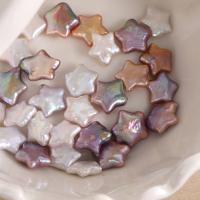Nėra Hole Kultūringas gėlavandenių perlų karoliukai, Gėlo vandens perlų, Žvaigždė, Pasidaryk pats & ne skylė, daugiau spalvų pasirinkimas, 13-15mm, Pardavė PC