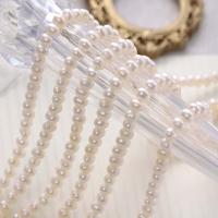 Naturalne perły słodkowodne perełki luźne, Perła naturalna słodkowodna, Lekko okrągły, DIY & różnej wielkości do wyboru, biały, sprzedane przez Strand