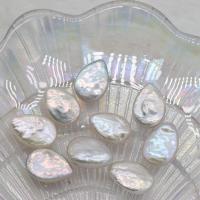 Nėra Hole Kultūringas gėlavandenių perlų karoliukai, Gėlo vandens perlų, Ašara, Pasidaryk pats & ne skylė, baltas, 13-14mm, Pardavė PC