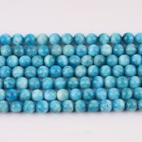Koraliki z kameniem szlachetnym, Apatyty, Koło, obyty, DIY, niebieski, 8mm, około 49komputery/Strand, sprzedawane na około 38 cm Strand