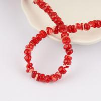 Natural Freshwater Shell Beads Trochus Nuggets polished DIY 6-8mm Approx Sold Per Approx 38 cm Strand