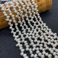 Cultured Rice Freshwater Pearl Beads DIY white aboutuff1a5-6mm Sold Per Approx 38 cm Strand