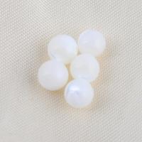 Natural Freshwater Shell Beads Trochus Round DIY white Sold By PC