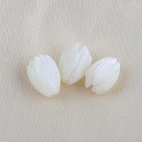 Naturlig Freshwater Shell Perler, Top Shell, Flower, du kan DIY, hvid, 10.50x7.40mm, Solgt af PC