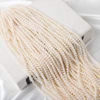 Přírodní sladkovodní perly perlí, Sladkovodní Pearl, Mírně kulaté, DIY, bílý, 5-5.5mm, Prodáno za Cca 37 cm Strand
