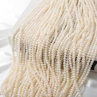 Naturalne perły słodkowodne perełki luźne, Perła naturalna słodkowodna, Lekko okrągły, DIY, biały, 4.5-5mm, sprzedawane na około 37 cm Strand
