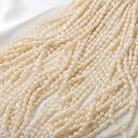Perlas Arroz Freshwater, Perlas cultivadas de agua dulce, Bricolaje, Blanco, 4-4.5mm, Vendido para aproximado 37 cm Sarta