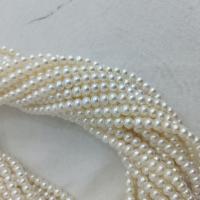 Přírodní sladkovodní perly perlí, Sladkovodní Pearl, Flat Round, DIY, bílý, 5-6mm, Prodáno za Cca 37 cm Strand